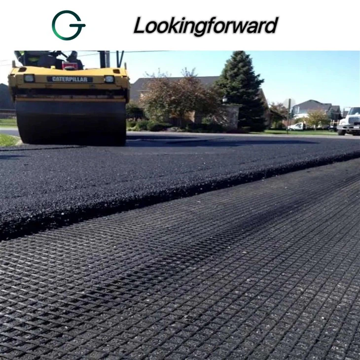 Steel Plastic Geogrid 003